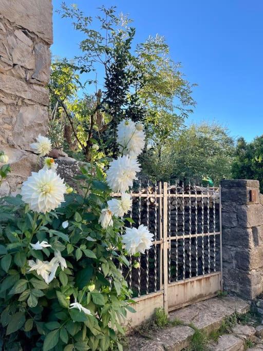 Un Poble Precios Appartement *